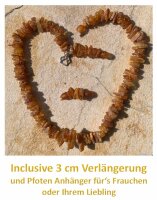 TOPAZ® Bernsteinkette für Hunde  30 cm + 3 cm Verlängerung + Charmanhänger